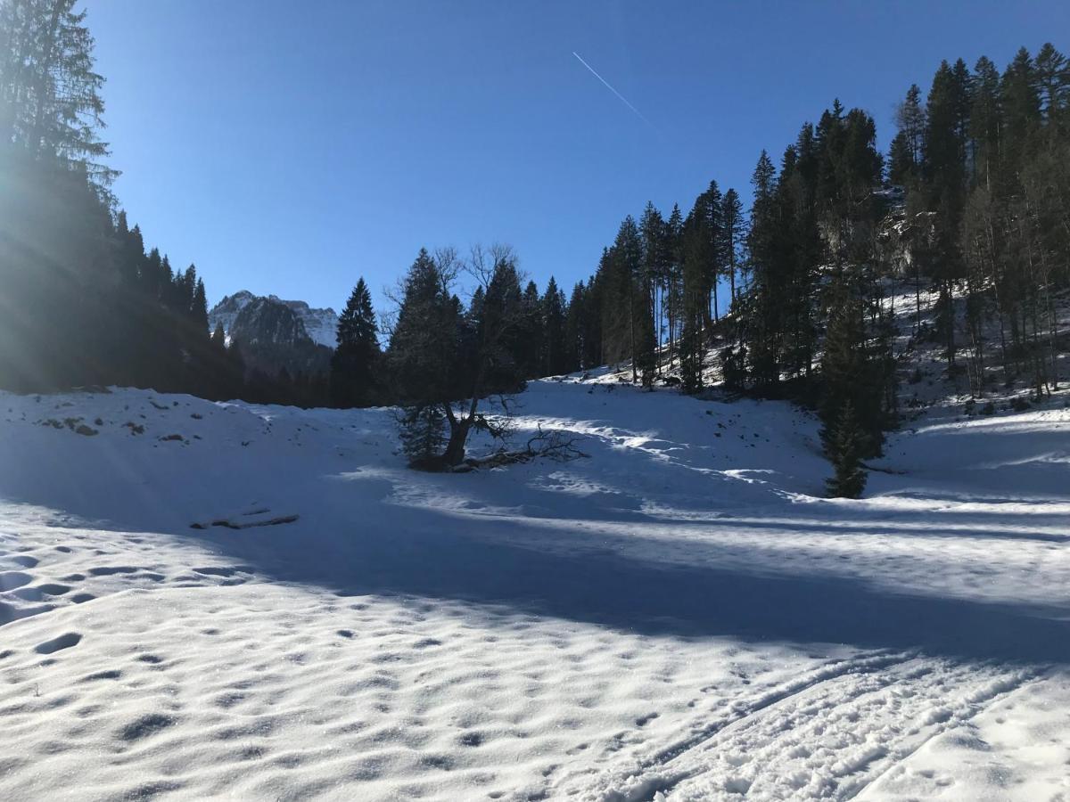 Kraehenberg Am Rande Der Wildnis Apartment Sibratsgfall Bagian luar foto