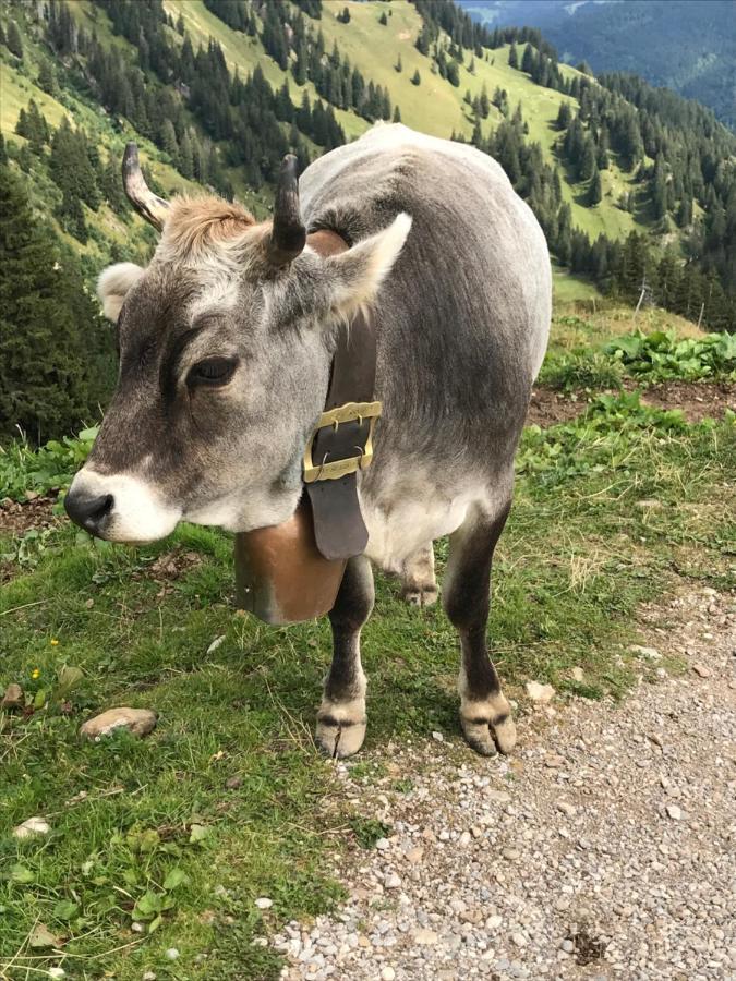 Kraehenberg Am Rande Der Wildnis Apartment Sibratsgfall Bagian luar foto
