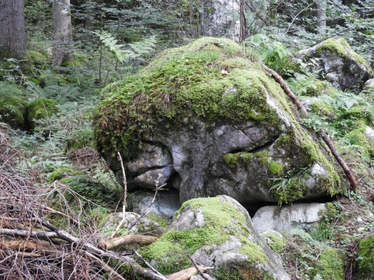 Kraehenberg Am Rande Der Wildnis Apartment Sibratsgfall Bagian luar foto