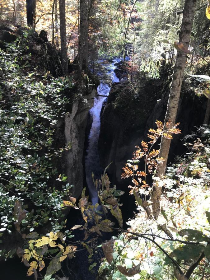 Kraehenberg Am Rande Der Wildnis Apartment Sibratsgfall Bagian luar foto