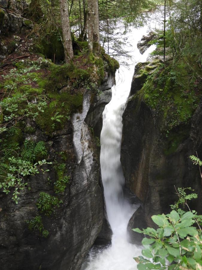 Kraehenberg Am Rande Der Wildnis Apartment Sibratsgfall Bagian luar foto