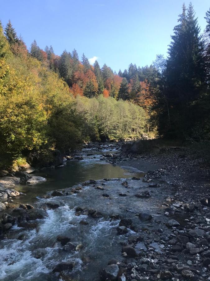 Kraehenberg Am Rande Der Wildnis Apartment Sibratsgfall Bagian luar foto